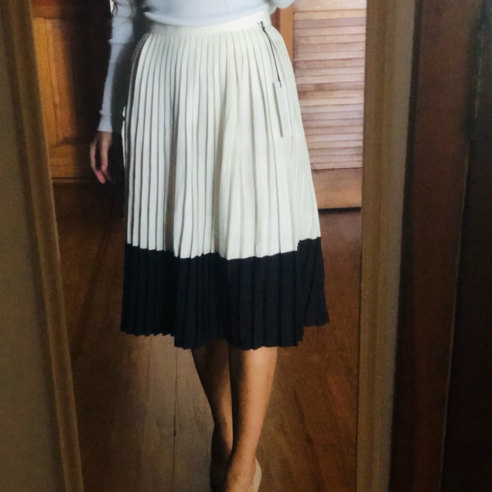 NWT RACHEL ZOE Pleated Skirt